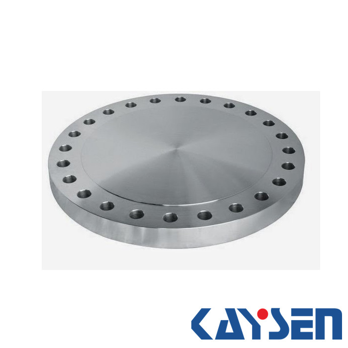 ASME B16.5 blind flange 2500LB